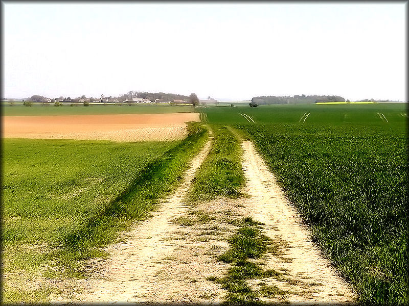 Dev Chaussee Jules Cesar Pres de Clery en Vexin